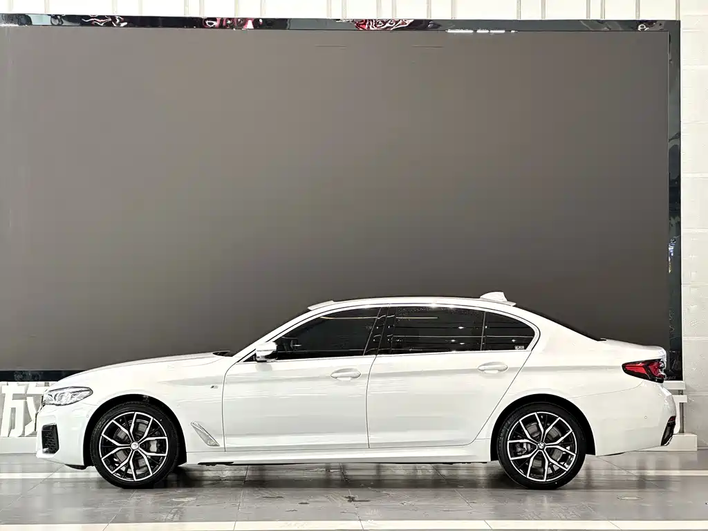 BMW 5 Series — миниатюра 5