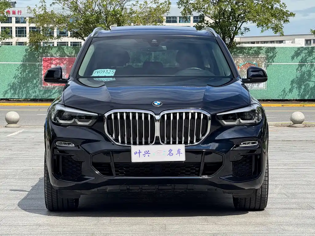 BMW X5 (Import) — миниатюра 2