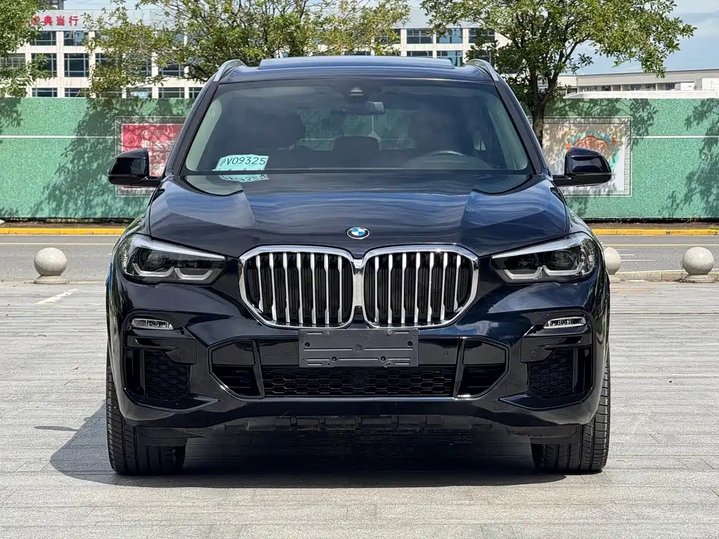 BMW X5 (Import) — миниатюра 17