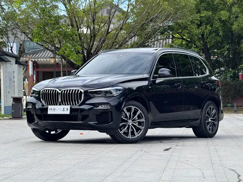 BMW X5 (Import) — миниатюра 4