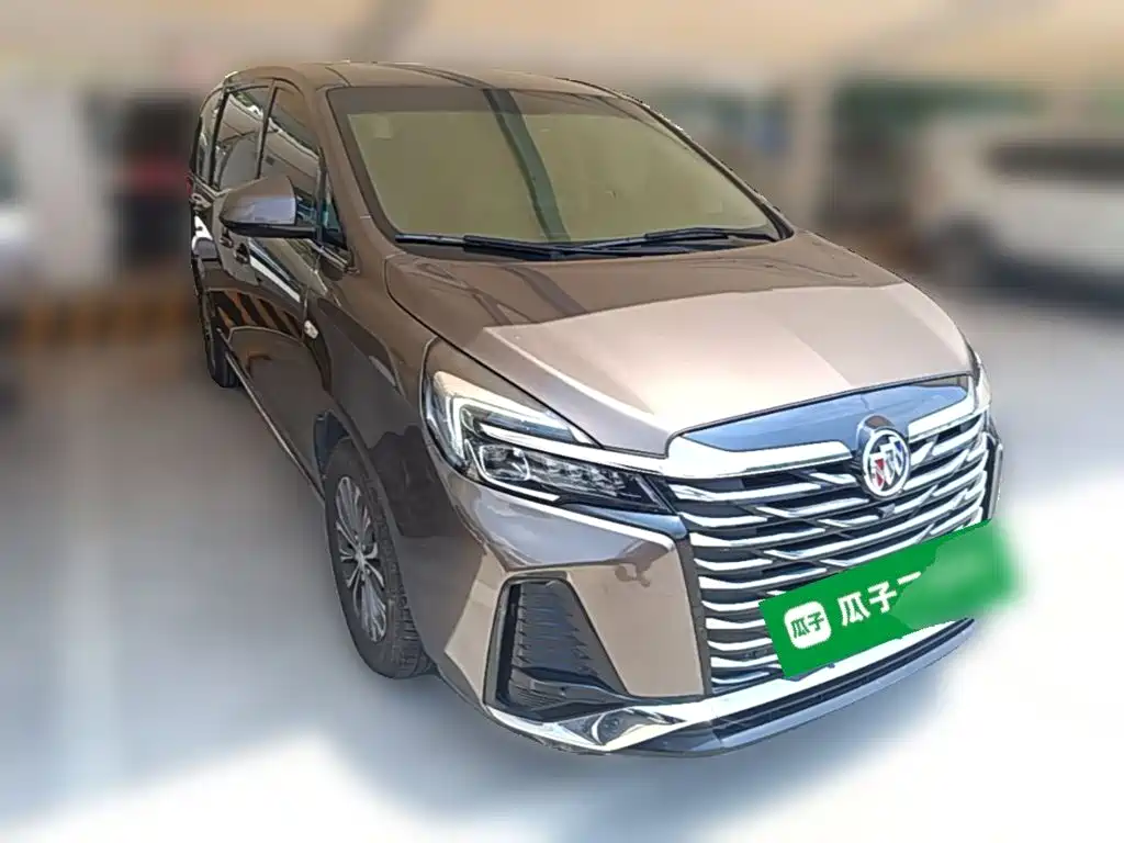 Buick GL8 — миниатюра 7