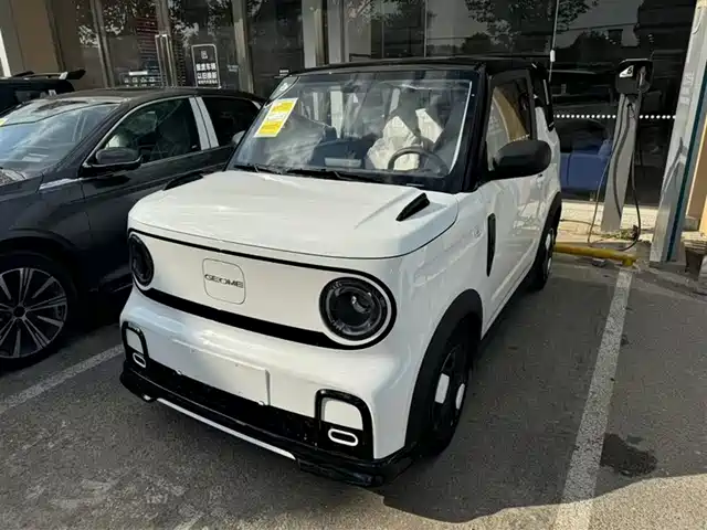 GEELY GALAXY PANDA 2025