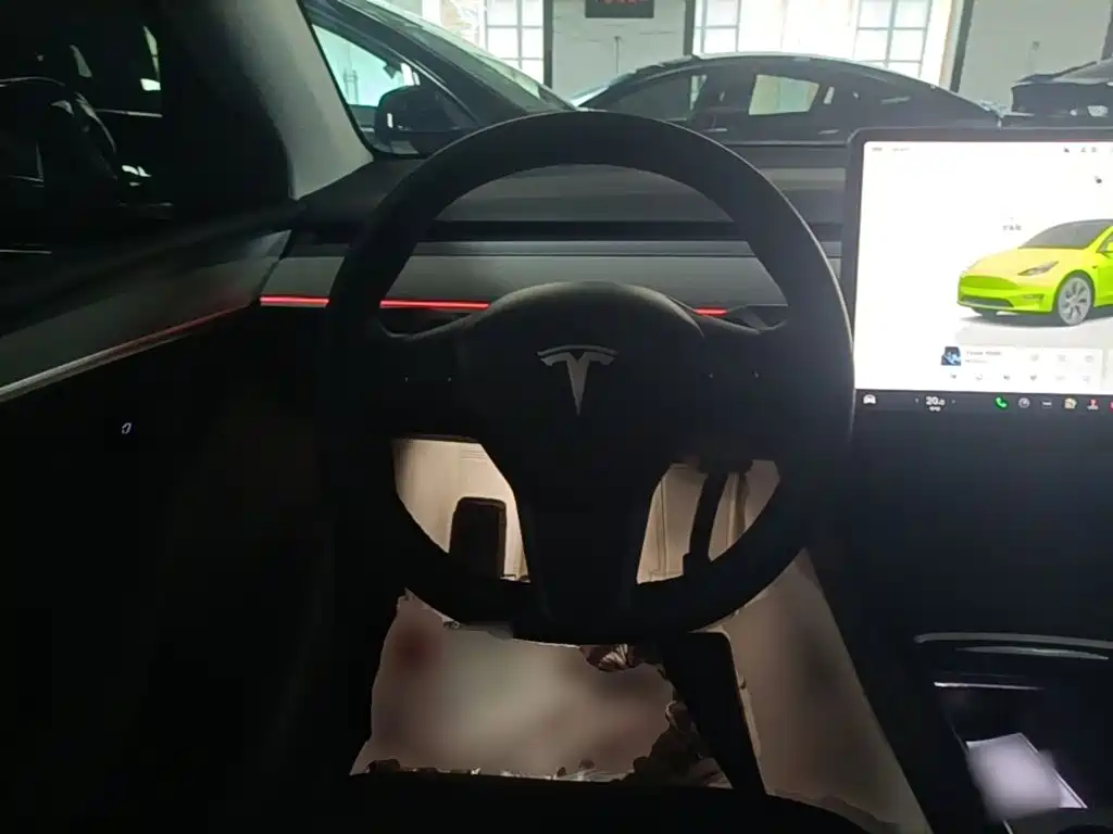 Tesla Model Y — миниатюра 11