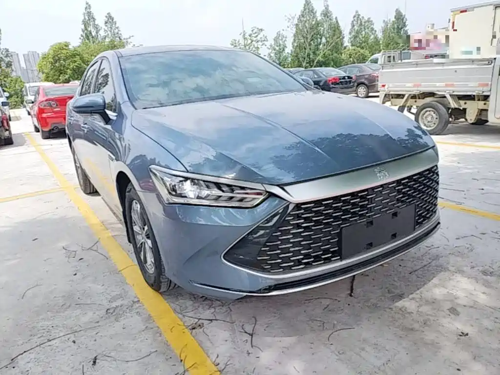 BYD Qin Plus PLUS 2024 DM-i 55KM Lead