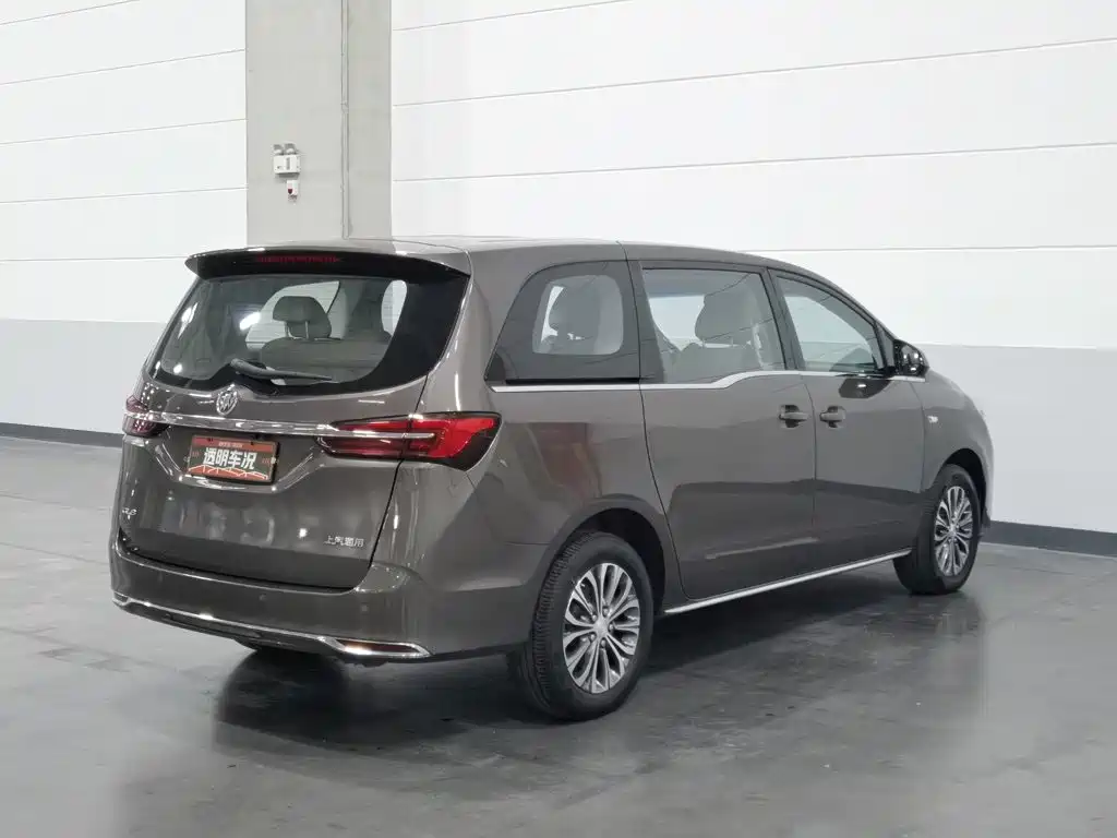 Buick GL8 — миниатюра 2