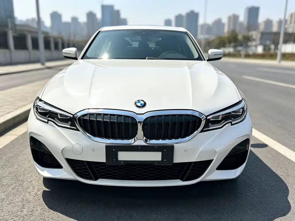 BMW 3 Series — миниатюра 2