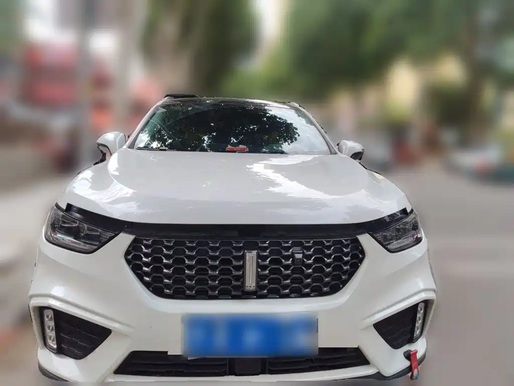 Wey Wey VV5 — миниатюра 2