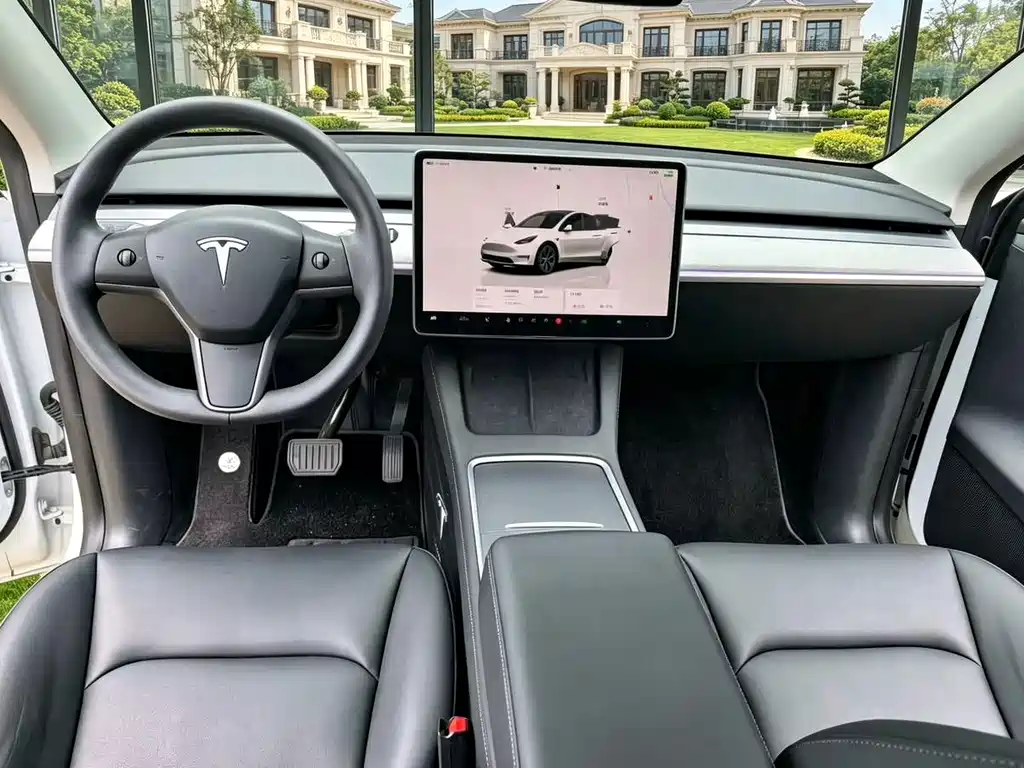 Tesla Model Y — миниатюра 8