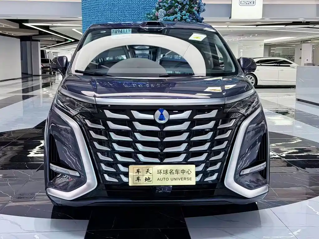 Denza Denza D9 — миниатюра 2