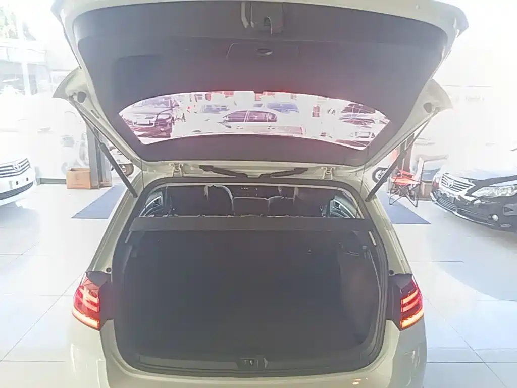 Volkswagen Golf — миниатюра 19