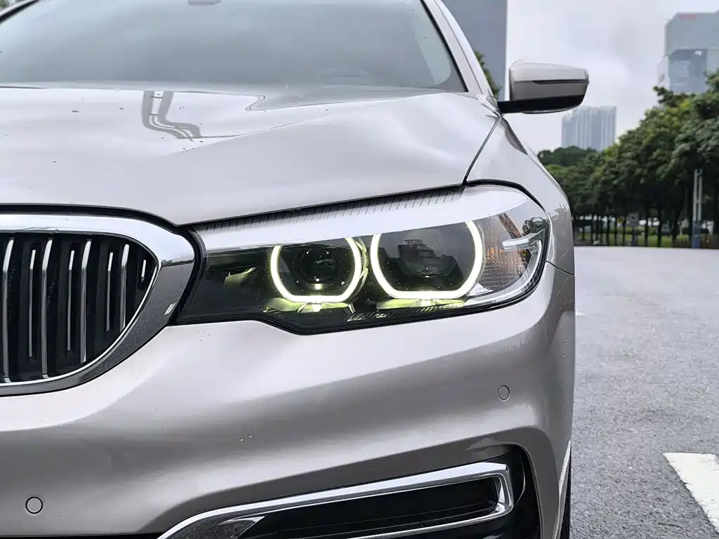 BMW 5 Series 5 2019 525Li Luxury