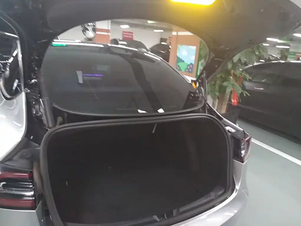 Tesla Model 3 — миниатюра 19