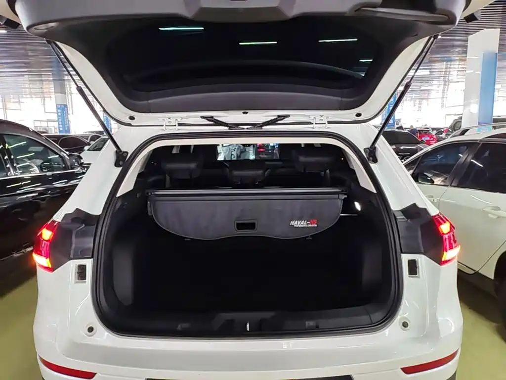 Haval H6 — миниатюра 19