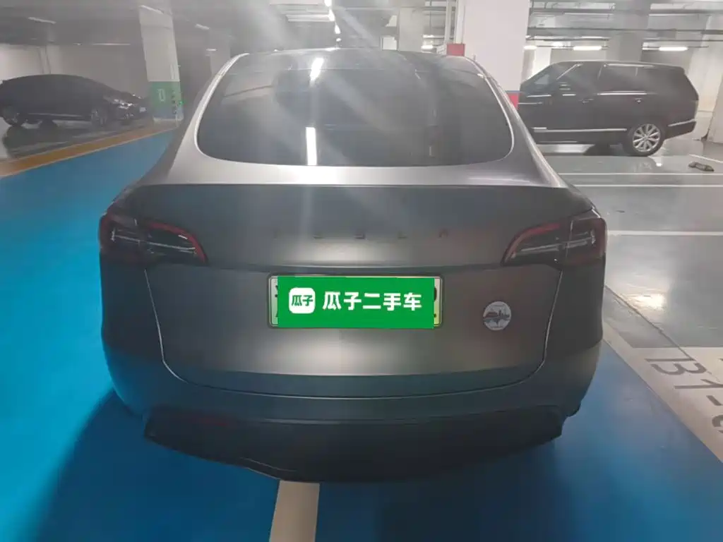 Tesla Model Y — миниатюра 4
