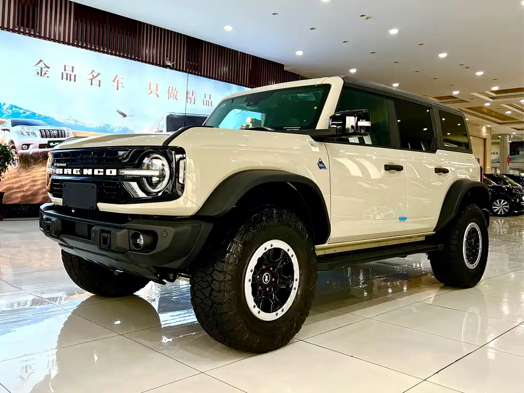 Ford Bronco — миниатюра 2