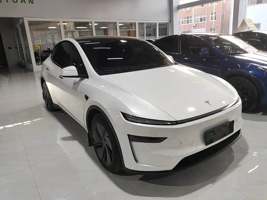 Tesla Model Y — миниатюра 4