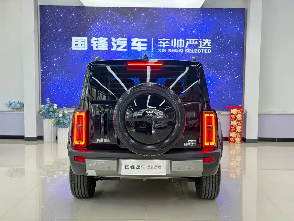 Haval Menglong New Energy — миниатюра 5