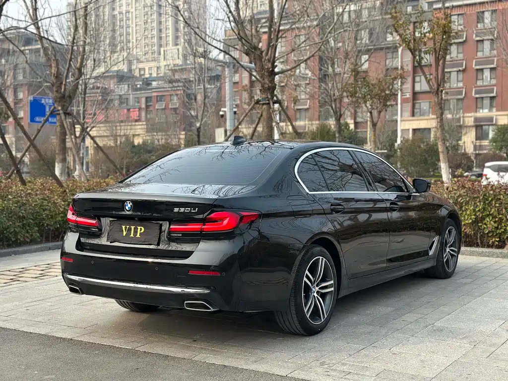 BMW 5 Series 5 2021 530Li Lead Luxury