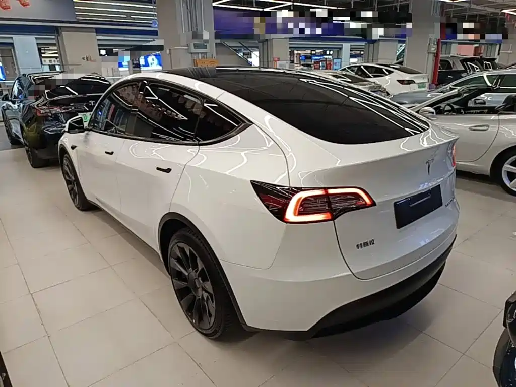 Tesla Model Y — миниатюра 5