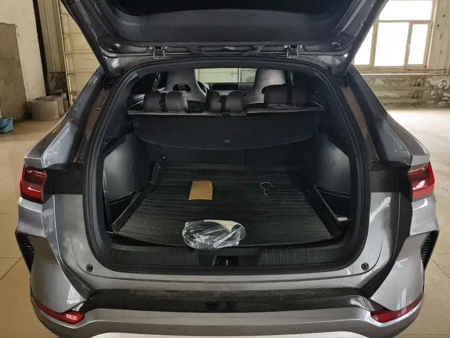 BYD PLUS New Energy — миниатюра 4