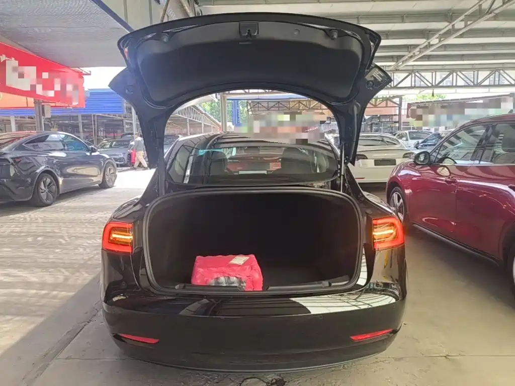 Tesla Model 3 — миниатюра 19