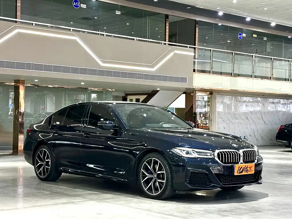 BMW 5 Series (Import) — миниатюра 3