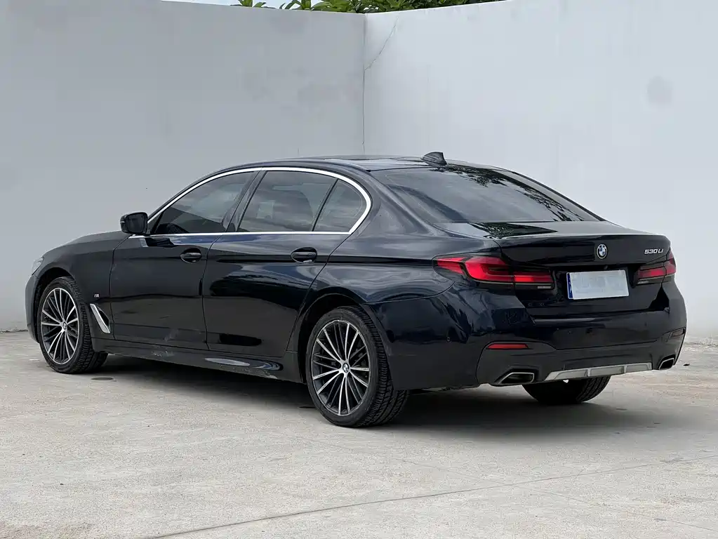 BMW 5 Series — миниатюра 14