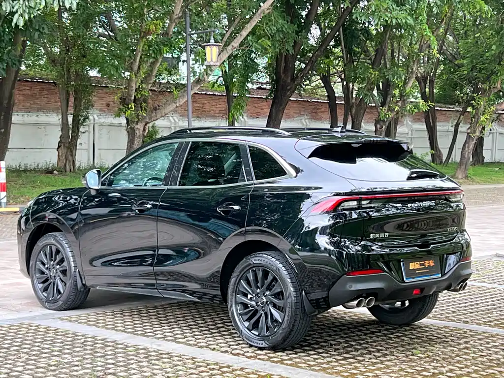 Fengxing Fengxing T5 EVO — миниатюра 8