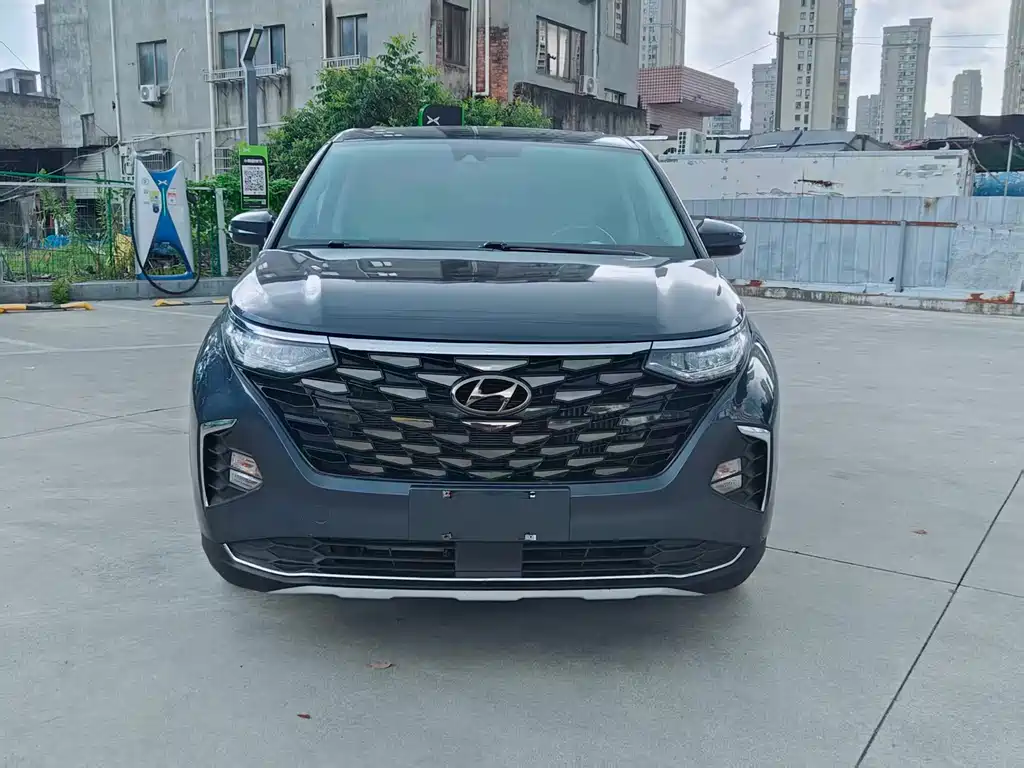 Hyundai Custo — миниатюра 2