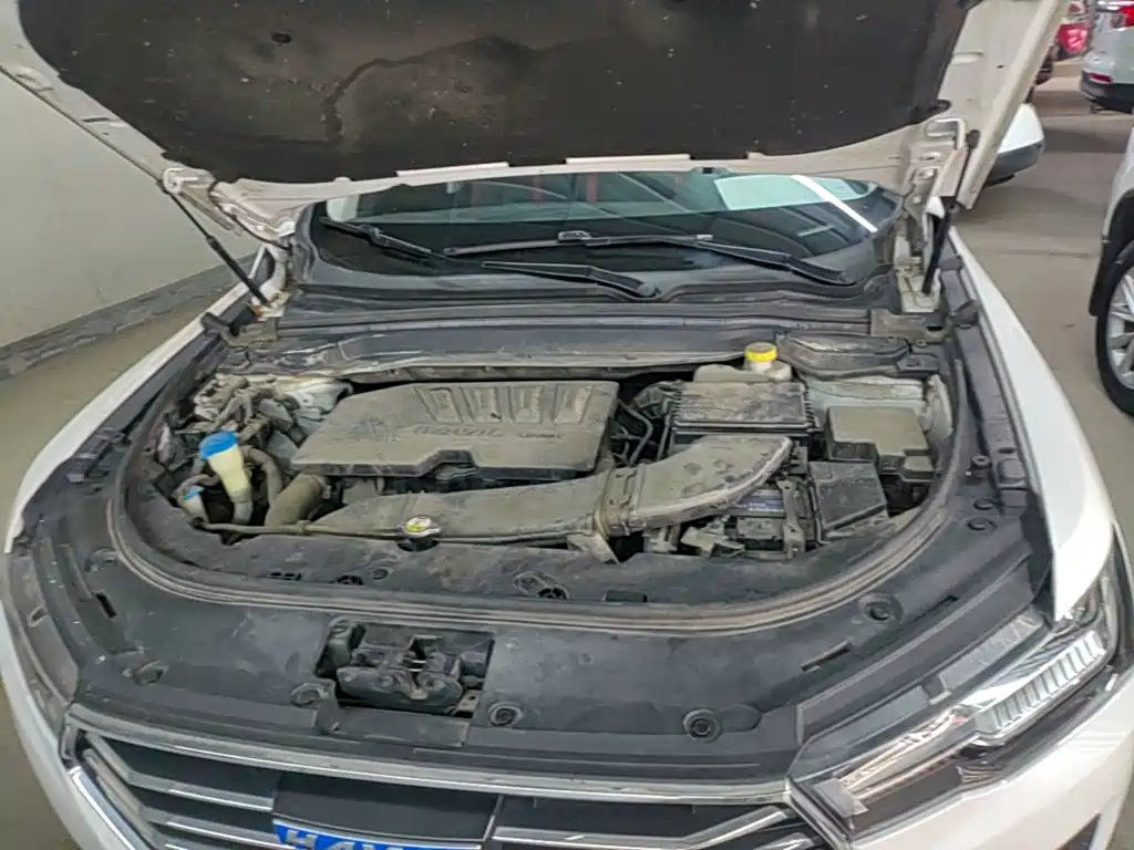 Haval H4 — миниатюра 20