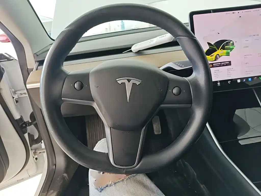 Tesla Model 3 — миниатюра 11