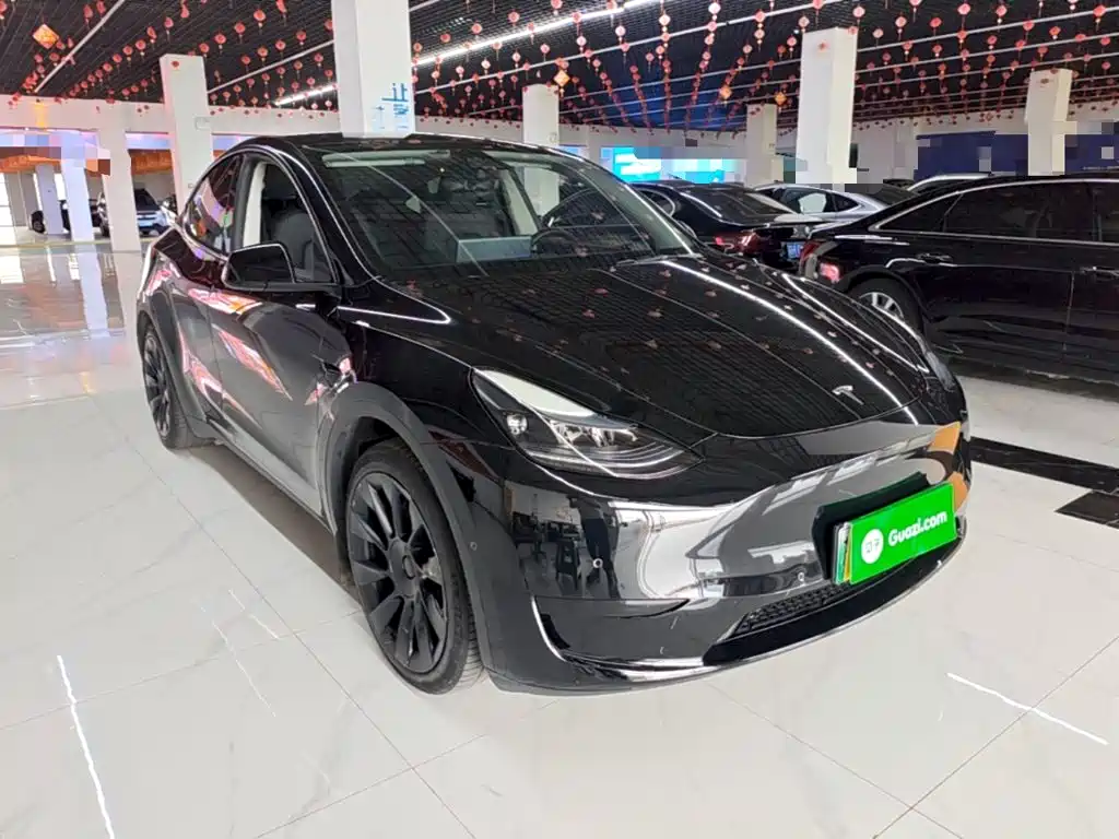 Tesla Model Y — миниатюра 4