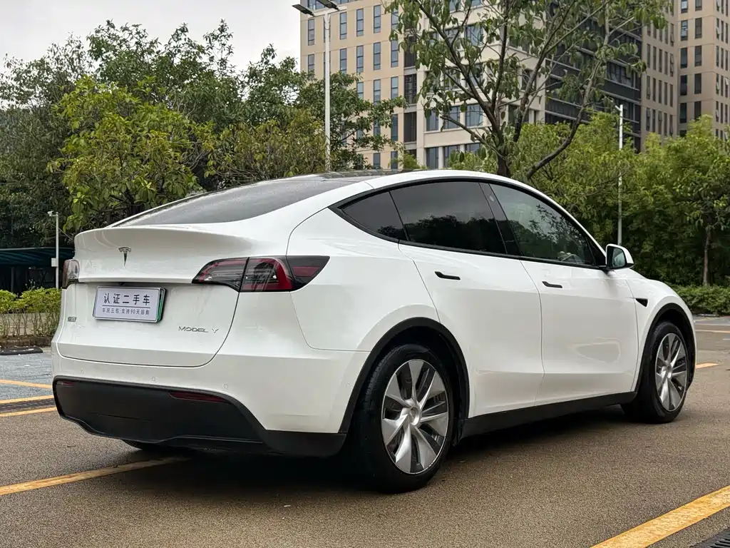 Tesla Model Y — миниатюра 15