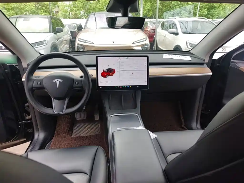 Tesla Model Y — миниатюра 10