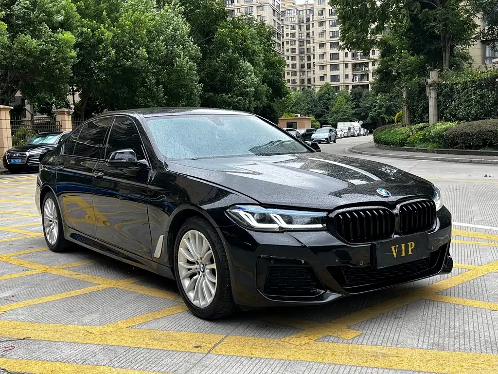 BMW 5 Series 5 2014 525Li Luxury