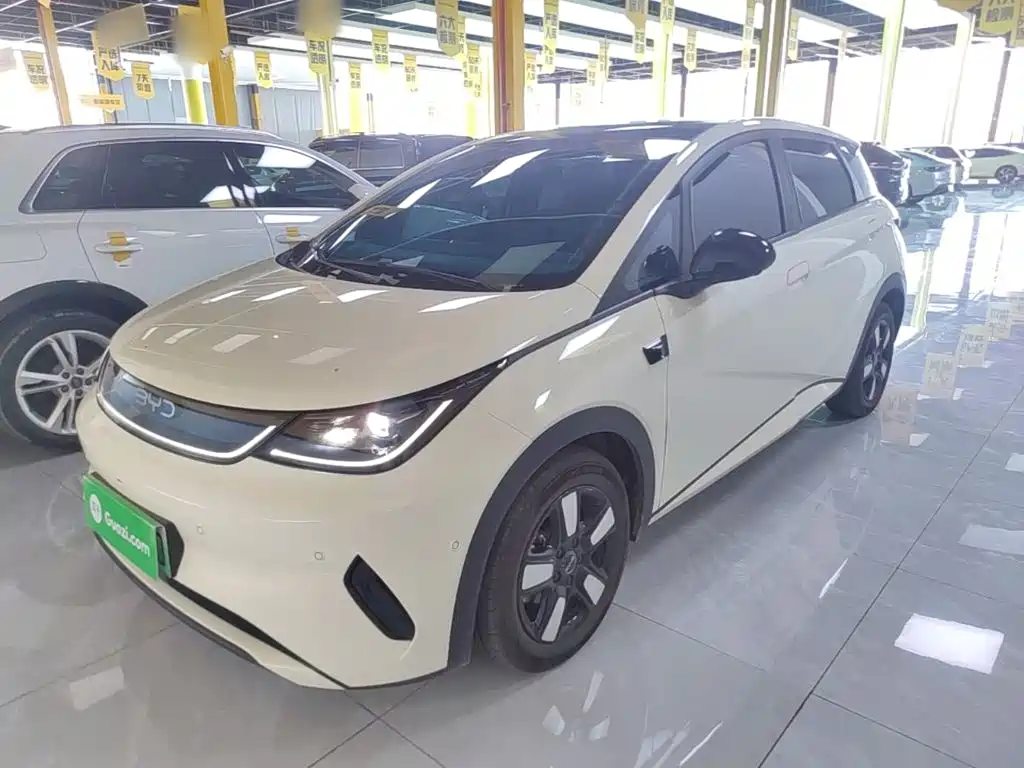 BYD Dolphin