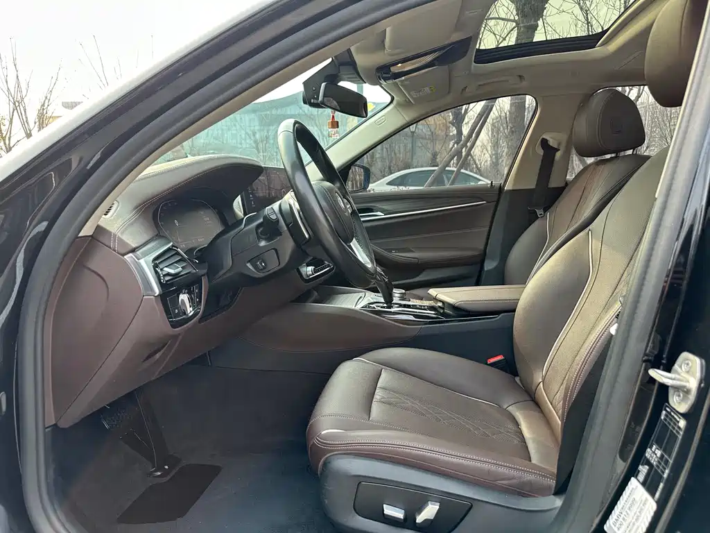 BMW 5 Series 5 2021 530Li Lead Luxury