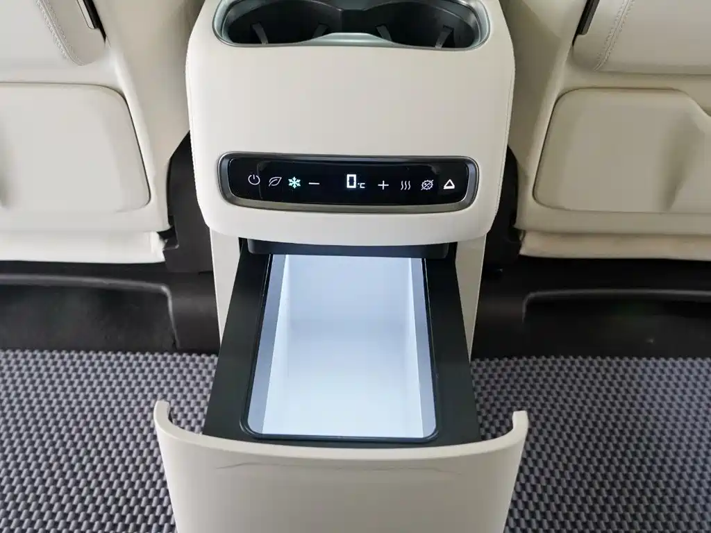 Denza Denza D9 — миниатюра 13