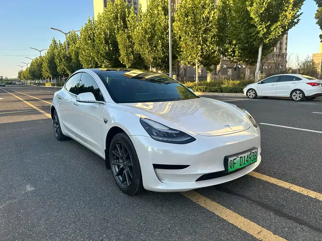 Tesla Model 3 — миниатюра 3
