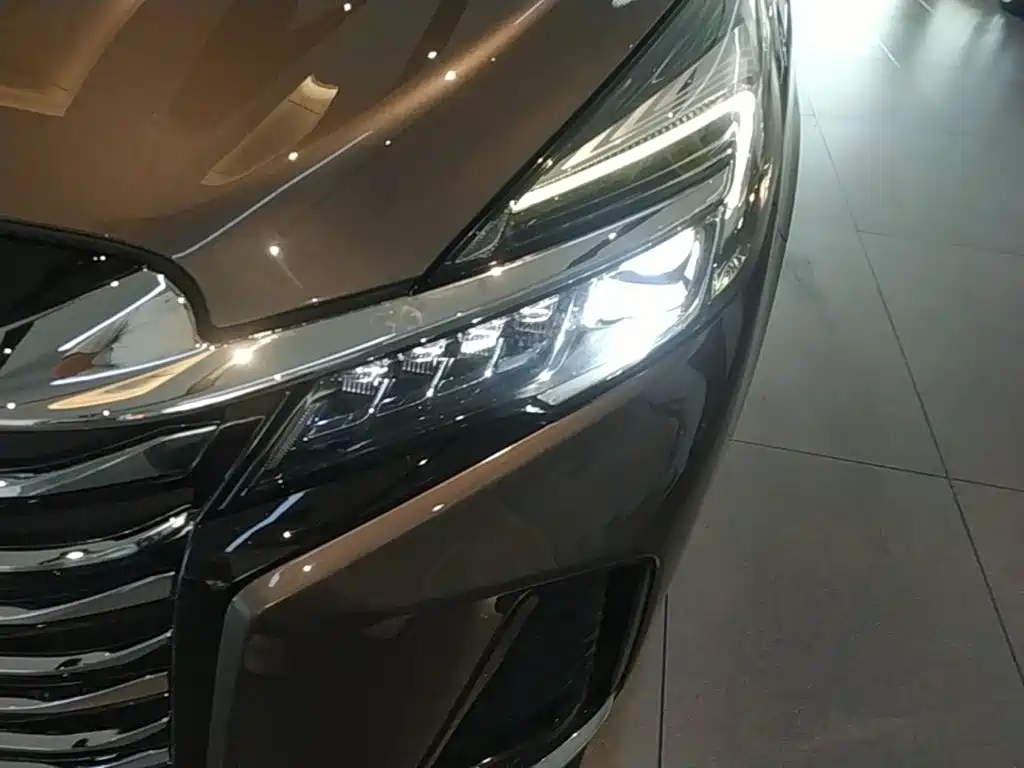 Buick GL8 — миниатюра 24