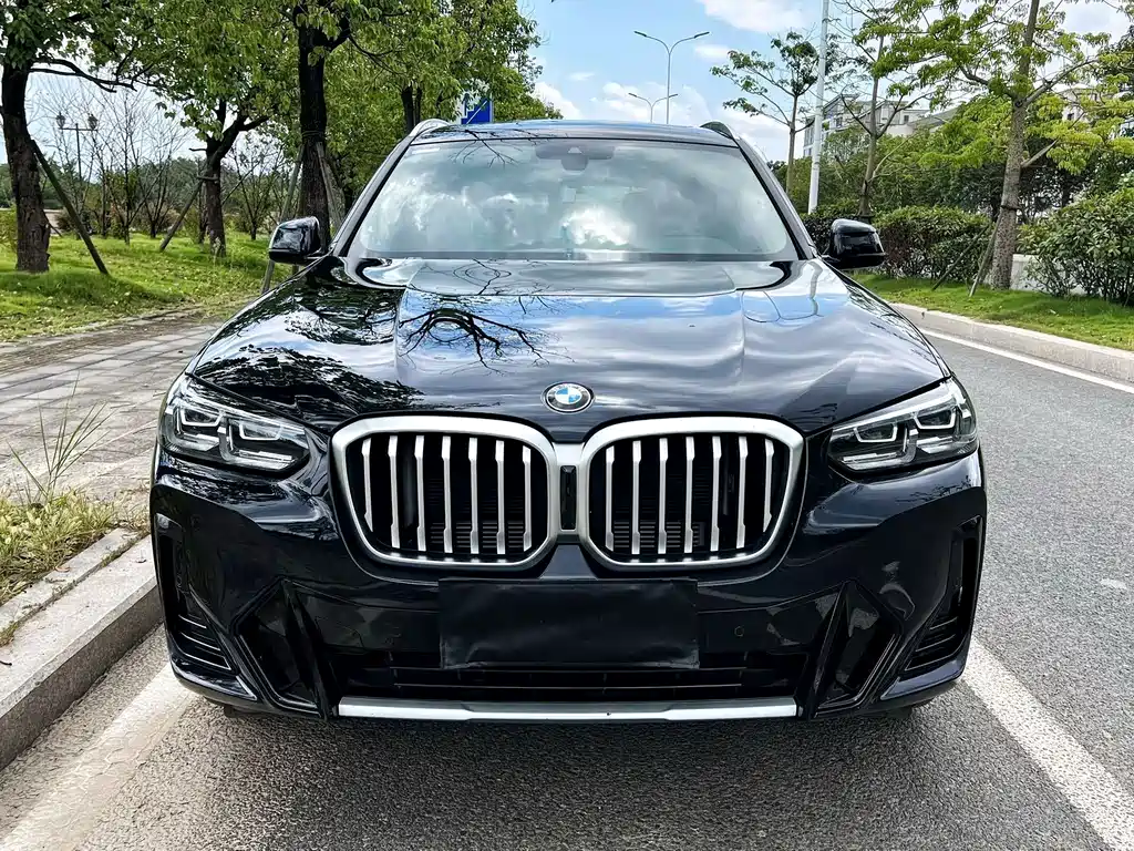 BMW X3 — миниатюра 2