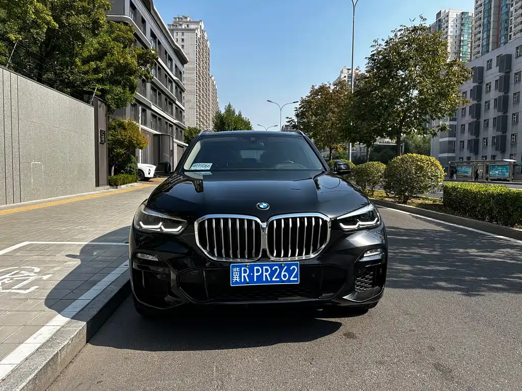 BMW X5 (Import) — миниатюра 2