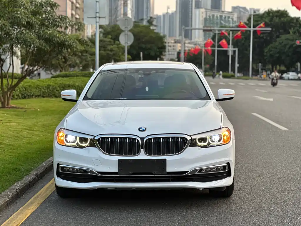 BMW 5 Series New Energy — миниатюра 2