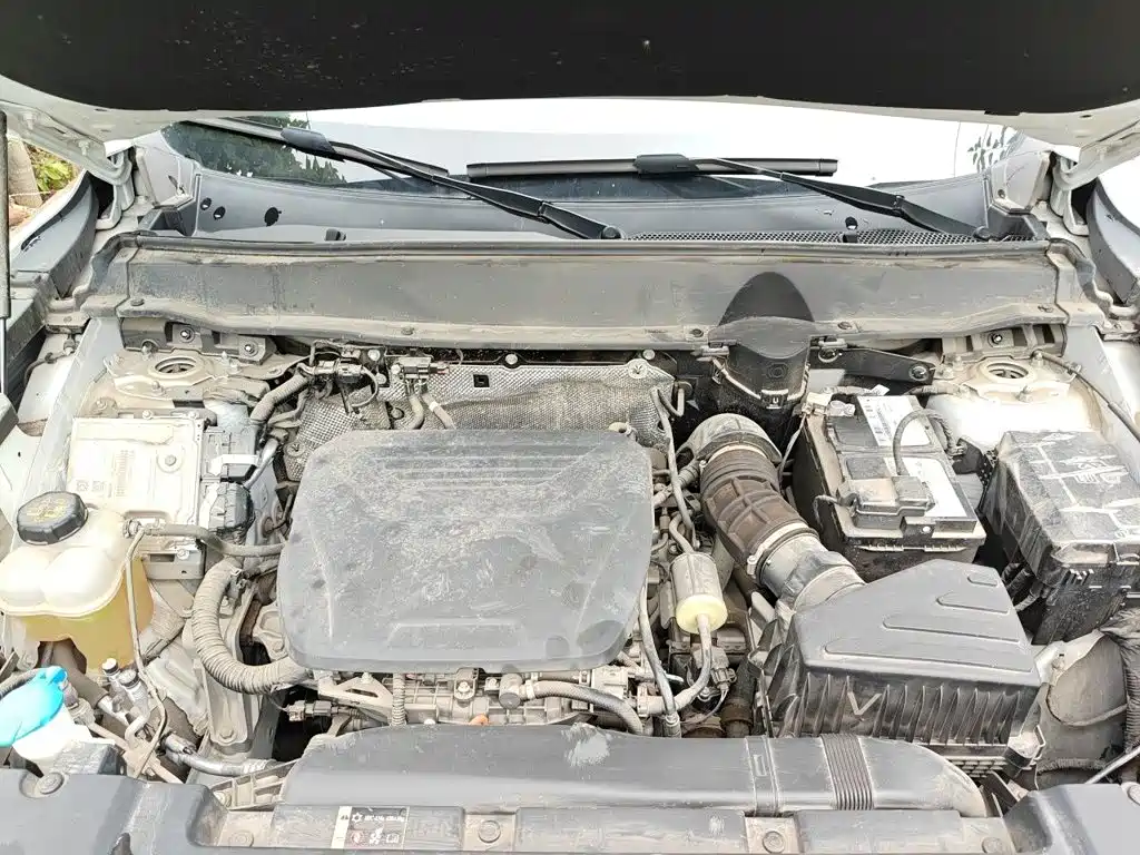 Haval Haval Big Dog PLUS — миниатюра 11