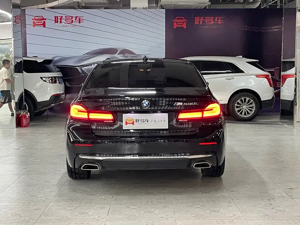 BMW 5 Series — миниатюра 4