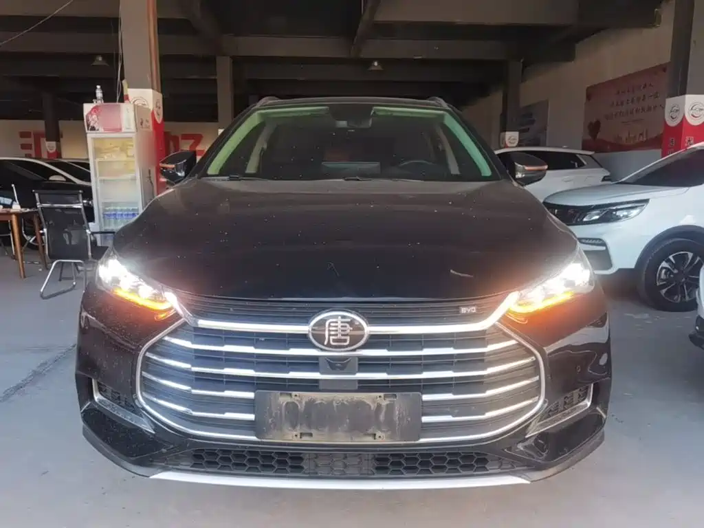 BYD Tang — миниатюра 3