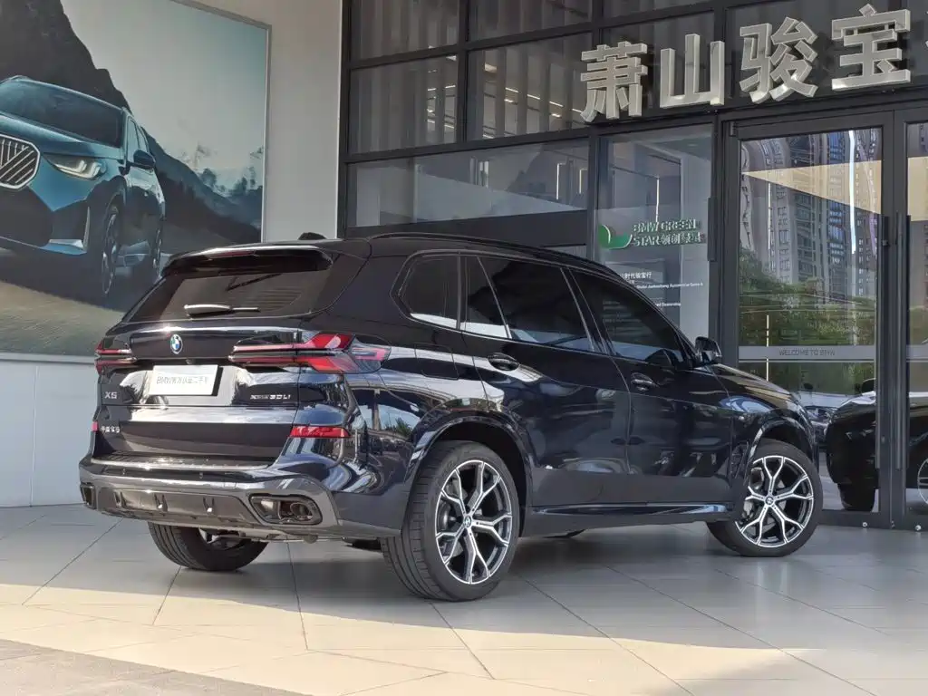 BMW X5 — миниатюра 4