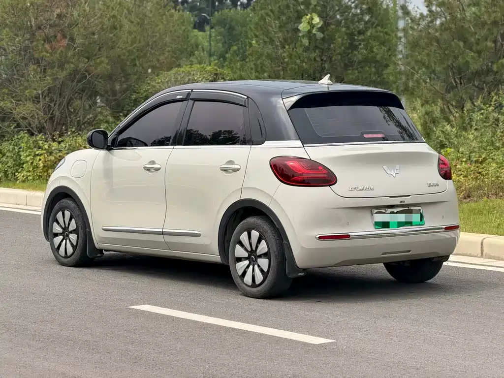 Wuling Binguo 2023 333km +