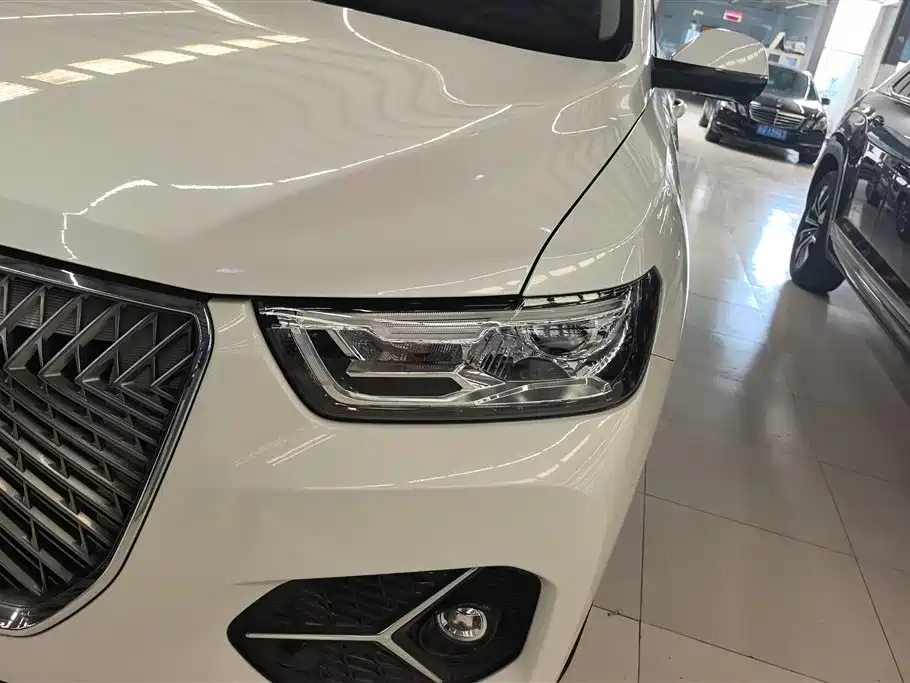 Haval H6 2021 1.5T AT Champion