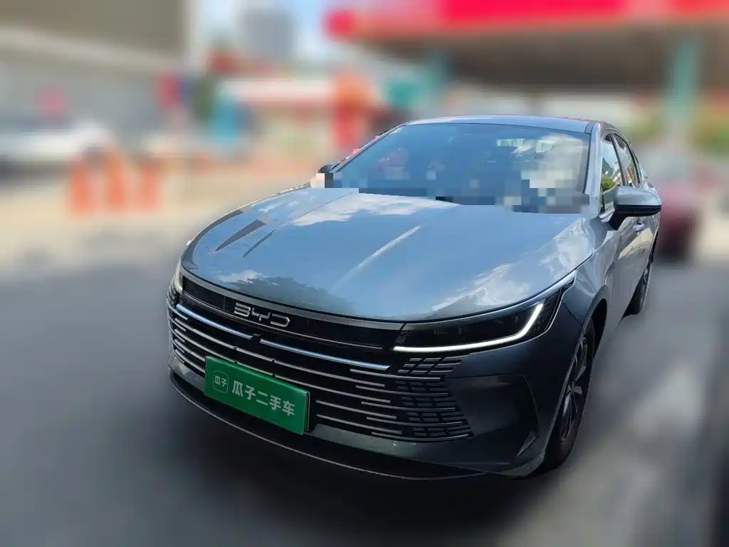 BYD Destroyer 05 2024 DM-i 55KM Luxury